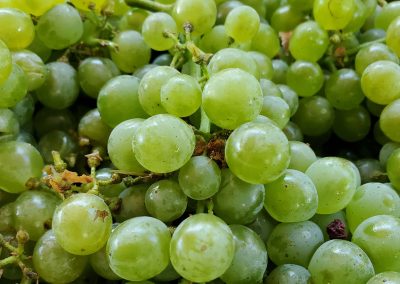 Sierra Vista Event Room - White Wine Grapes Close Up
