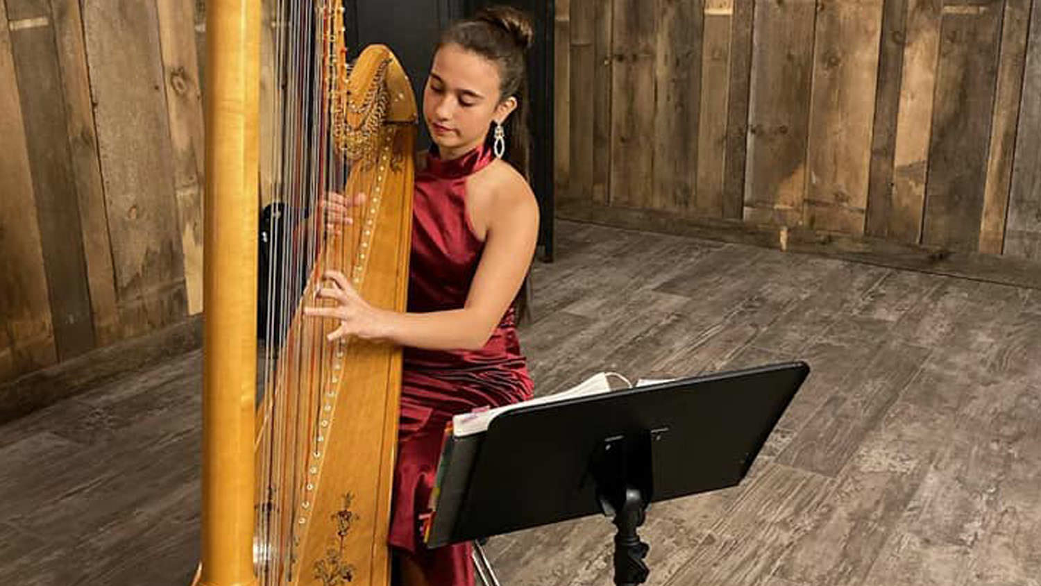Sierra Vista - Events - Harpist