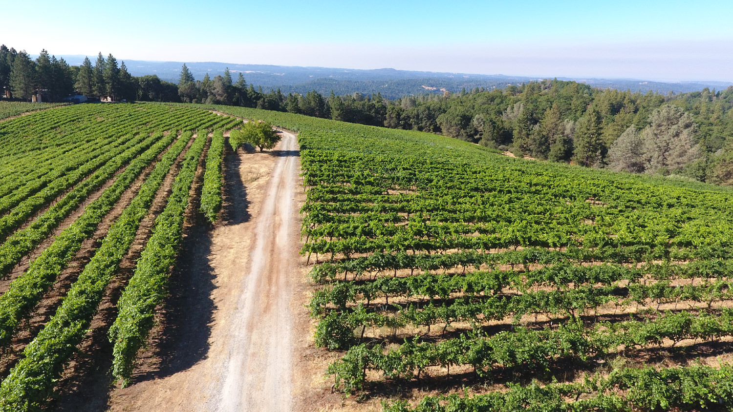 Sierra Vista Vineyards & Winery Arial View of Grounds 2