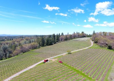 Sierra Vista Vineyards & Winery Arial View of Grounds 3