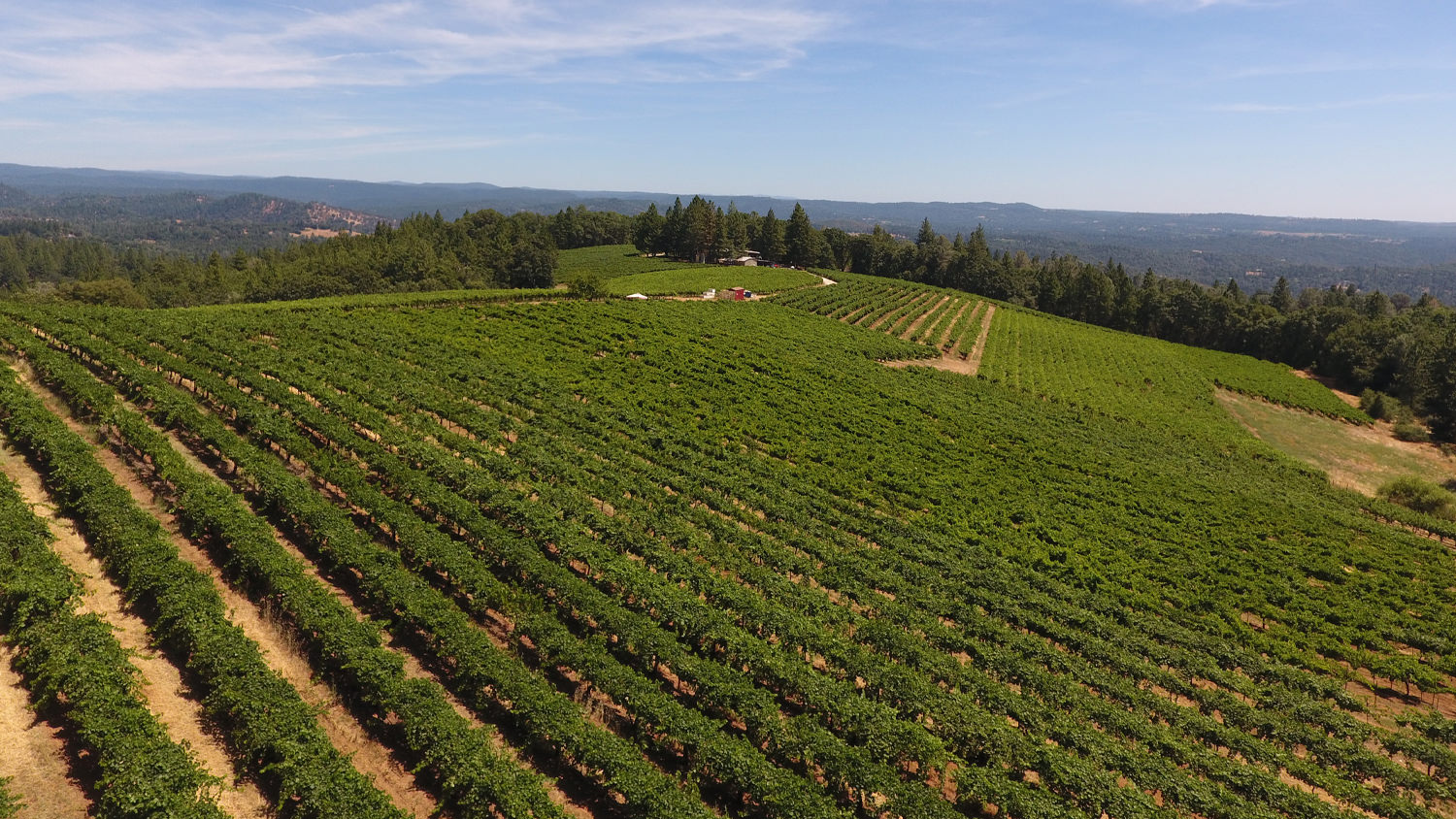 Sierra Vista Vineyards & Winery Arial View of Grounds 4