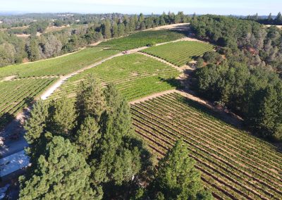 Sierra Vista Vineyards & Winery Arial View of Grounds