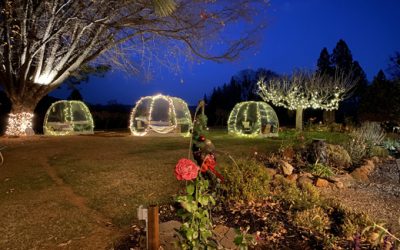 Enjoy winter scenery in our wine-tasting pods