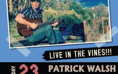 Concert – Patrick Walsh