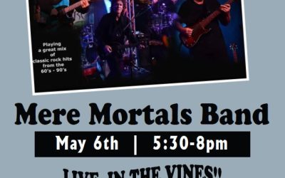 Concert – Mere Mortals Band